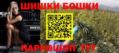 индика Кунгур