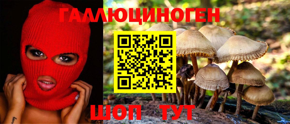 Заводоуковск  Псилоцибиновые грибы ЛСД  Вход с VPN  Галлюциногенные грибы Psilocybe 